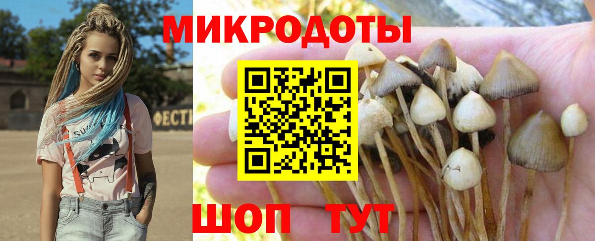 Псилоцибиновые грибы мицелий Пенза