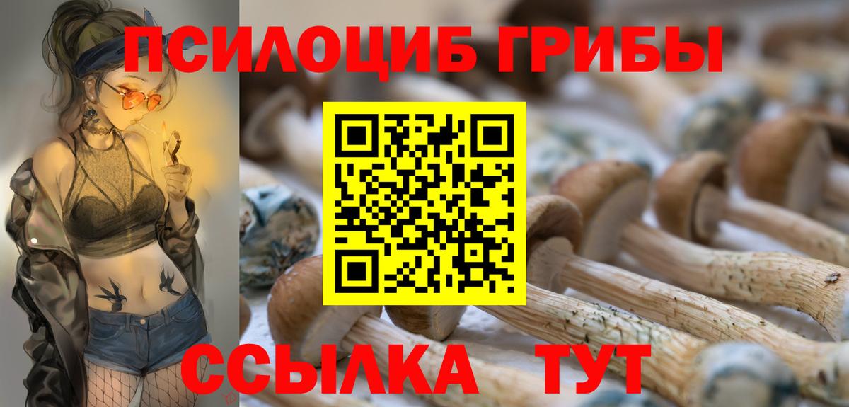 Галлюциногенные грибы мицелий  Вход с VPN  Пенза 