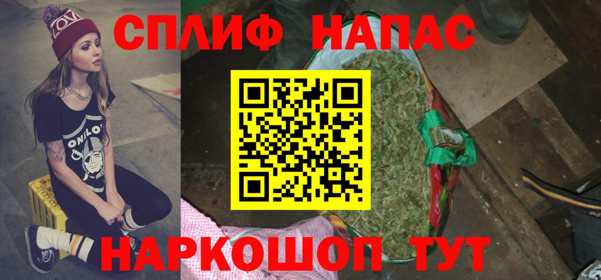 Бошки Шишки план Пенза